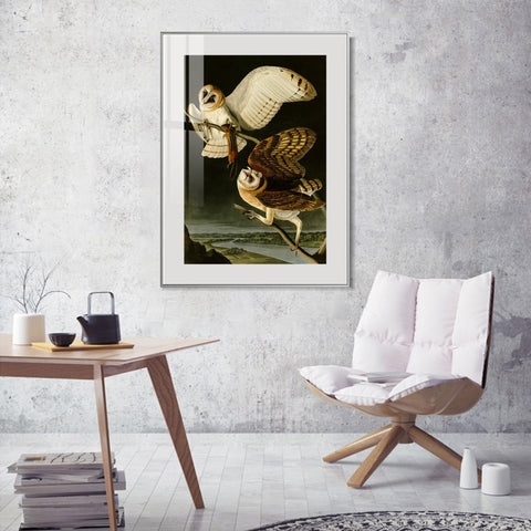 INVIN ART Metal Framed Canvas Giclee Print Barn Owl by John James Audubon Wall Art Living Room Home Office Decorations