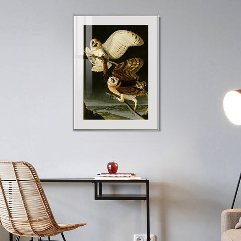 INVIN ART Metal Framed Canvas Giclee Print Barn Owl by John James Audubon Wall Art Living Room Home Office Decorations