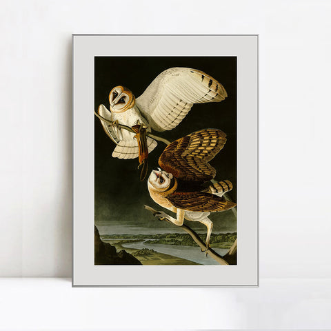 INVIN ART Metal Framed Canvas Giclee Print Barn Owl by John James Audubon Wall Art Living Room Home Office Decorations