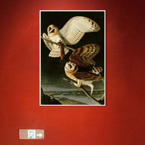 INVIN ART Framed Canvas Giclee Print Barn Owl by John James Audubon Wall Art Living Room Home Office Decorations
