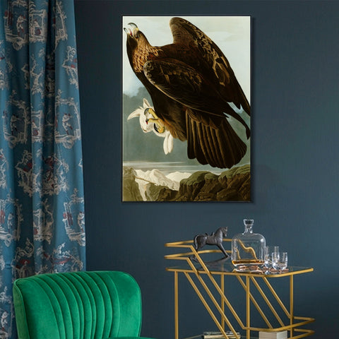 INVIN ART Framed Canvas Giclee Print Series#118 by John James Audubon Wall Art Living Room Home Office Decorations