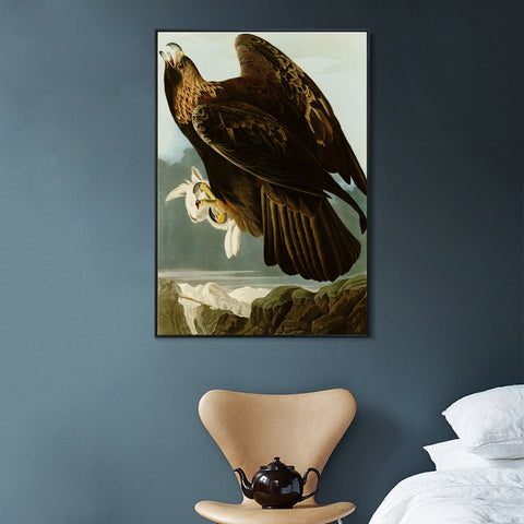 INVIN ART Framed Canvas Giclee Print Series#118 by John James Audubon Wall Art Living Room Home Office Decorations