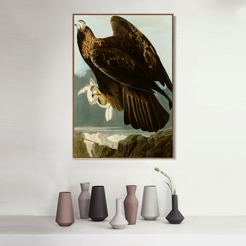 INVIN ART Framed Canvas Giclee Print Series#118 by John James Audubon Wall Art Living Room Home Office Decorations