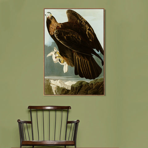 INVIN ART Framed Canvas Giclee Print Series#118 by John James Audubon Wall Art Living Room Home Office Decorations