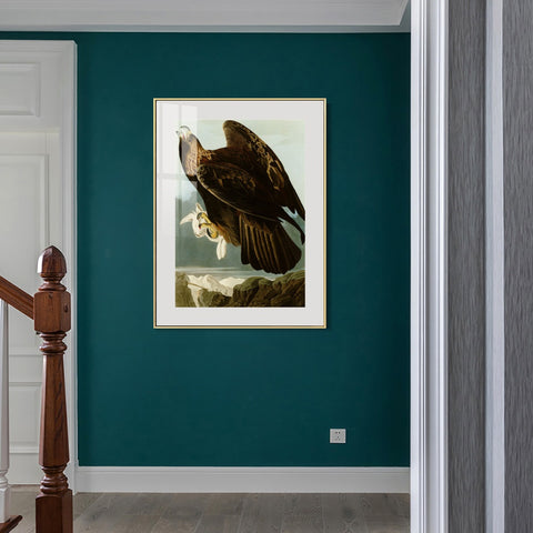 INVIN ART Metal Framed Canvas Giclee Print Series#118 by John James Audubon Wall Art Living Room Home Office Decorations