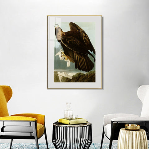 INVIN ART Metal Framed Canvas Giclee Print Series#118 by John James Audubon Wall Art Living Room Home Office Decorations
