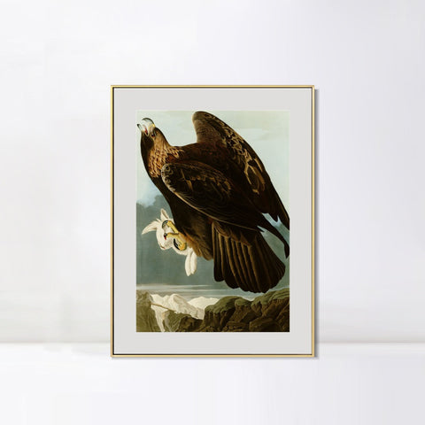 INVIN ART Metal Framed Canvas Giclee Print Series#118 by John James Audubon Wall Art Living Room Home Office Decorations