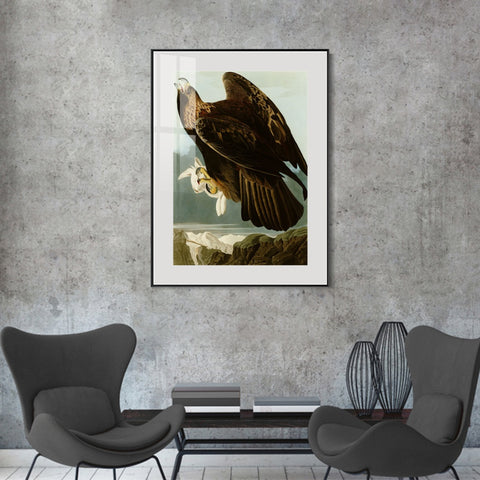 INVIN ART Metal Framed Canvas Giclee Print Series#118 by John James Audubon Wall Art Living Room Home Office Decorations