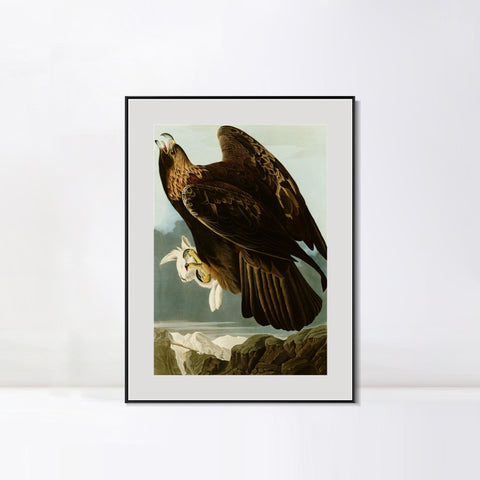 INVIN ART Metal Framed Canvas Giclee Print Series#118 by John James Audubon Wall Art Living Room Home Office Decorations