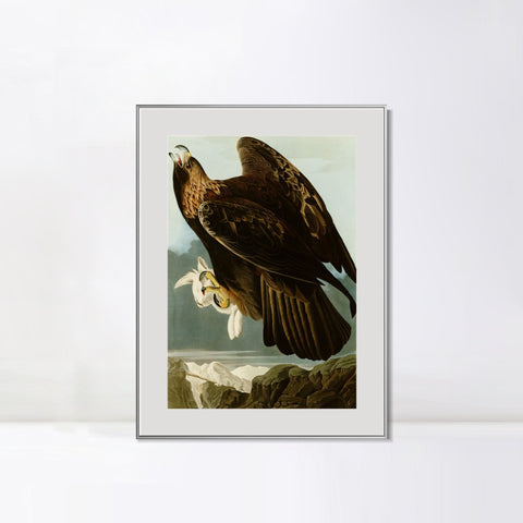 INVIN ART Metal Framed Canvas Giclee Print Series#118 by John James Audubon Wall Art Living Room Home Office Decorations