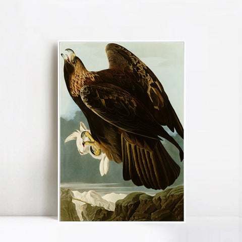 INVIN ART Framed Canvas Giclee Print Series#118 by John James Audubon Wall Art Living Room Home Office Decorations