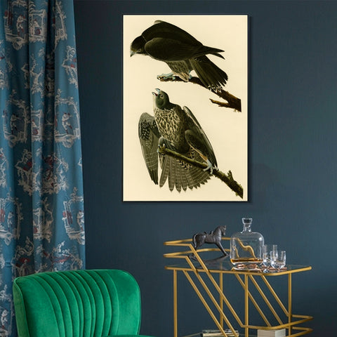 INVIN ART Framed Canvas Giclee Print Series#119 by John James Audubon Wall Art Living Room Home Office Decorations