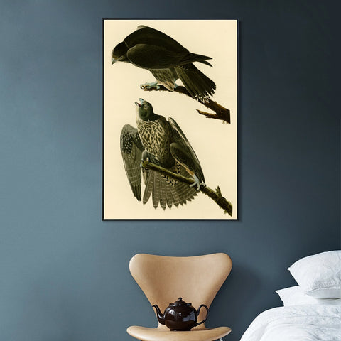 INVIN ART Framed Canvas Giclee Print Series#119 by John James Audubon Wall Art Living Room Home Office Decorations