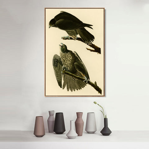 INVIN ART Framed Canvas Giclee Print Series#119 by John James Audubon Wall Art Living Room Home Office Decorations