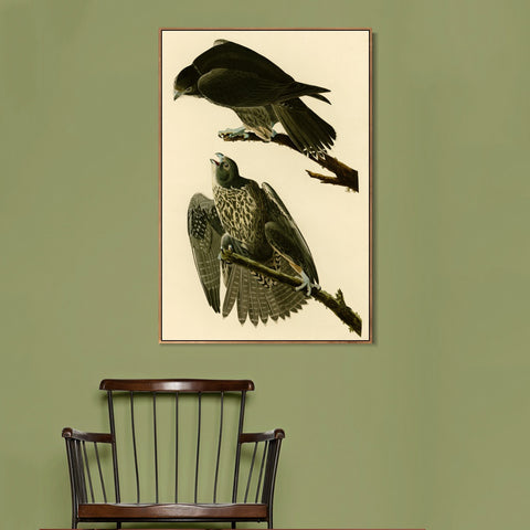 INVIN ART Framed Canvas Giclee Print Series#119 by John James Audubon Wall Art Living Room Home Office Decorations