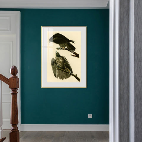 INVIN ART Metal Framed Canvas Giclee Print Series#119 by John James Audubon Wall Art Living Room Home Office Decorations