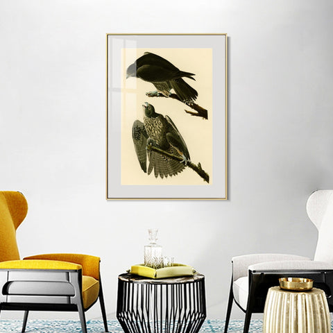 INVIN ART Metal Framed Canvas Giclee Print Series#119 by John James Audubon Wall Art Living Room Home Office Decorations