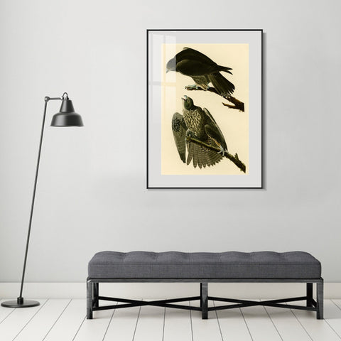 INVIN ART Metal Framed Canvas Giclee Print Series#119 by John James Audubon Wall Art Living Room Home Office Decorations