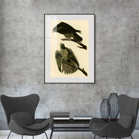 INVIN ART Metal Framed Canvas Giclee Print Series#119 by John James Audubon Wall Art Living Room Home Office Decorations