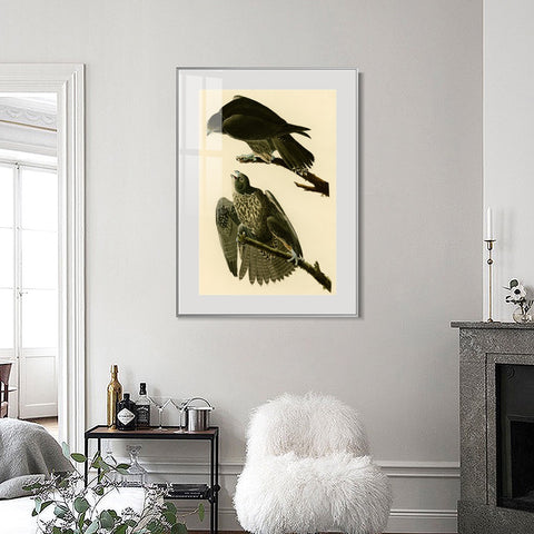 INVIN ART Metal Framed Canvas Giclee Print Series#119 by John James Audubon Wall Art Living Room Home Office Decorations