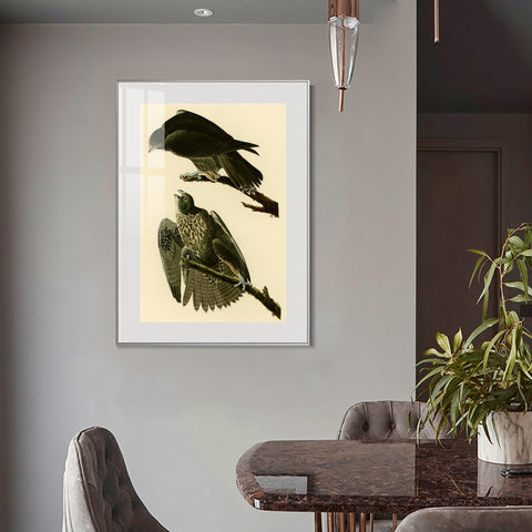 INVIN ART Metal Framed Canvas Giclee Print Series#119 by John James Audubon Wall Art Living Room Home Office Decorations