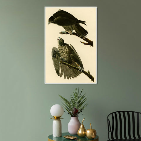 INVIN ART Framed Canvas Giclee Print Series#119 by John James Audubon Wall Art Living Room Home Office Decorations
