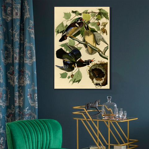 INVIN ART Framed Canvas Giclee Print Summer or Wood Duck by John James Audubon Wall Art Living Room Home Office Decorations