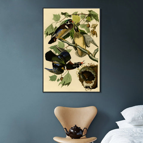 INVIN ART Framed Canvas Giclee Print Summer or Wood Duck by John James Audubon Wall Art Living Room Home Office Decorations