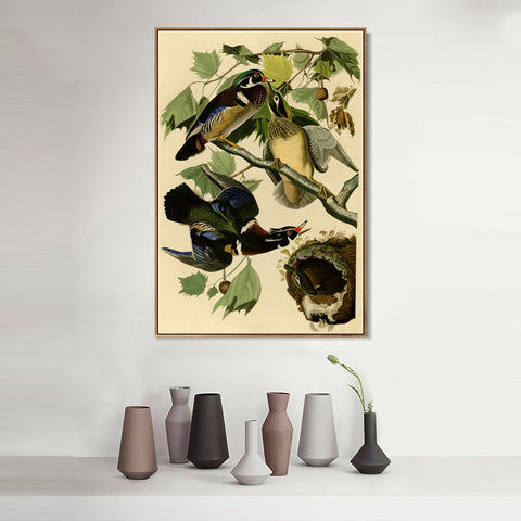INVIN ART Framed Canvas Giclee Print Summer or Wood Duck by John James Audubon Wall Art Living Room Home Office Decorations