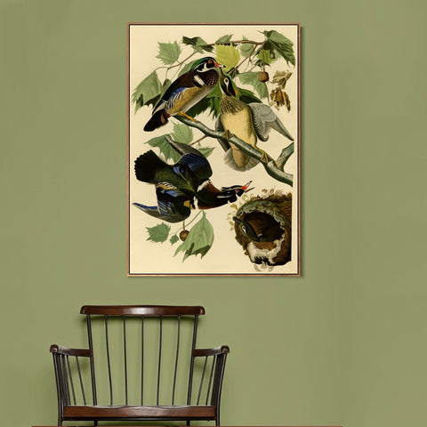 INVIN ART Framed Canvas Giclee Print Summer or Wood Duck by John James Audubon Wall Art Living Room Home Office Decorations