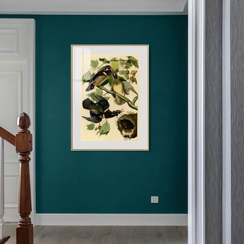 INVIN ART Metal Framed Canvas Giclee Print Summer or Wood Duck by John James Audubon Wall Art Living Room Home Office Decorations