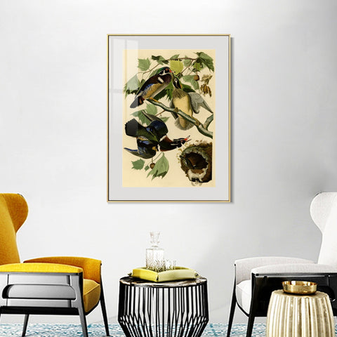 INVIN ART Metal Framed Canvas Giclee Print Summer or Wood Duck by John James Audubon Wall Art Living Room Home Office Decorations