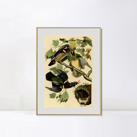 INVIN ART Metal Framed Canvas Giclee Print Summer or Wood Duck by John James Audubon Wall Art Living Room Home Office Decorations