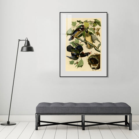 INVIN ART Metal Framed Canvas Giclee Print Summer or Wood Duck by John James Audubon Wall Art Living Room Home Office Decorations