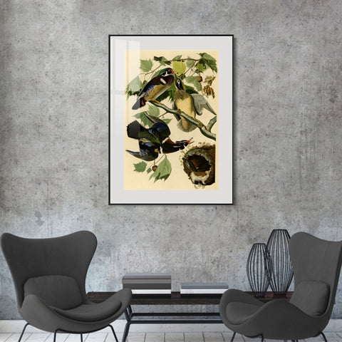 INVIN ART Metal Framed Canvas Giclee Print Summer or Wood Duck by John James Audubon Wall Art Living Room Home Office Decorations