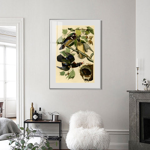 INVIN ART Metal Framed Canvas Giclee Print Summer or Wood Duck by John James Audubon Wall Art Living Room Home Office Decorations
