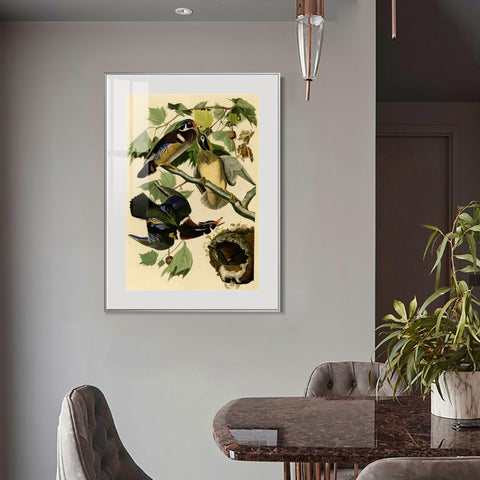 INVIN ART Metal Framed Canvas Giclee Print Summer or Wood Duck by John James Audubon Wall Art Living Room Home Office Decorations