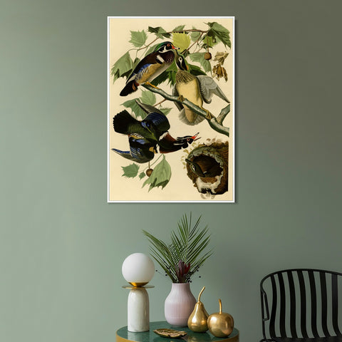 INVIN ART Framed Canvas Giclee Print Summer or Wood Duck by John James Audubon Wall Art Living Room Home Office Decorations