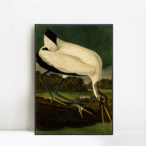 INVIN ART Framed Canvas Giclee Print Series#121 by John James Audubon Wall Art Living Room Home Office Decorations