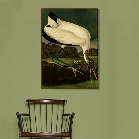 INVIN ART Framed Canvas Giclee Print Series#121 by John James Audubon Wall Art Living Room Home Office Decorations