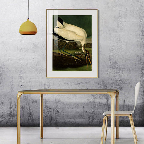 INVIN ART Metal Framed Canvas Giclee Print Series#121 by John James Audubon Wall Art Living Room Home Office Decorations