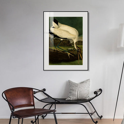 INVIN ART Metal Framed Canvas Giclee Print Series#121 by John James Audubon Wall Art Living Room Home Office Decorations