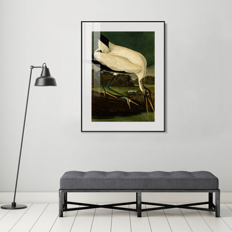 INVIN ART Metal Framed Canvas Giclee Print Series#121 by John James Audubon Wall Art Living Room Home Office Decorations