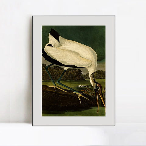 INVIN ART Metal Framed Canvas Giclee Print Series#121 by John James Audubon Wall Art Living Room Home Office Decorations