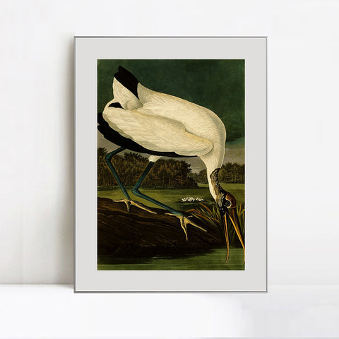 INVIN ART Metal Framed Canvas Giclee Print Series#121 by John James Audubon Wall Art Living Room Home Office Decorations