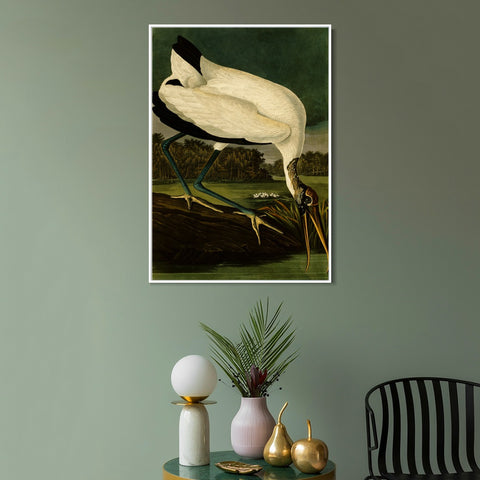 INVIN ART Framed Canvas Giclee Print Series#121 by John James Audubon Wall Art Living Room Home Office Decorations