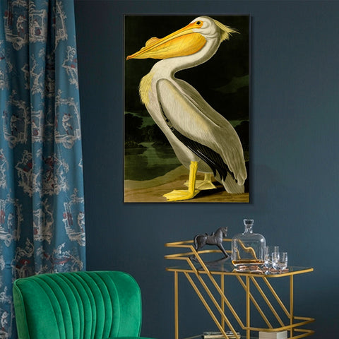 INVIN ART Framed Canvas Giclee Print American White Pelican by John James Audubon Wall Art Living Room Home Office Decorations