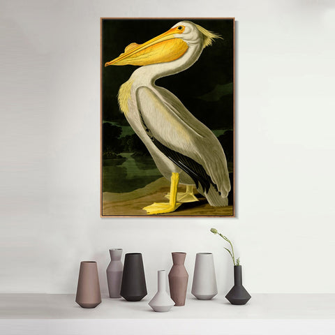 INVIN ART Framed Canvas Giclee Print American White Pelican by John James Audubon Wall Art Living Room Home Office Decorations