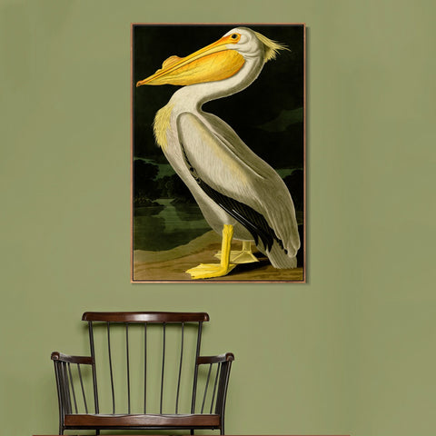 INVIN ART Framed Canvas Giclee Print American White Pelican by John James Audubon Wall Art Living Room Home Office Decorations