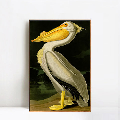 INVIN ART Framed Canvas Giclee Print American White Pelican by John James Audubon Wall Art Living Room Home Office Decorations